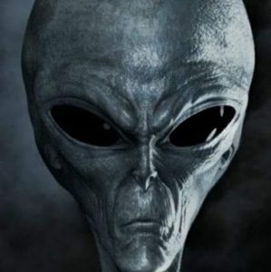 Meet your Posher, Timothy